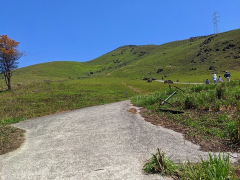 PXL_20220409_032006898