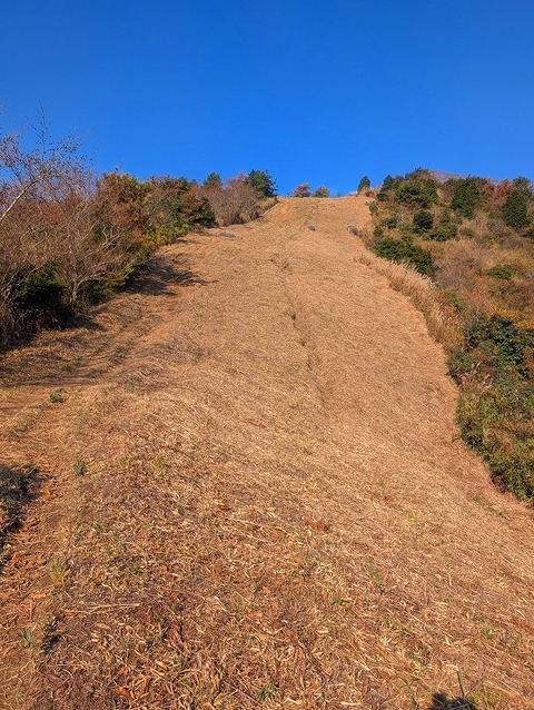 PXL_20251207_020512383