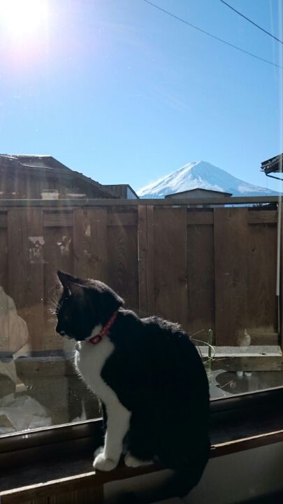 o0405072013166738287[1]