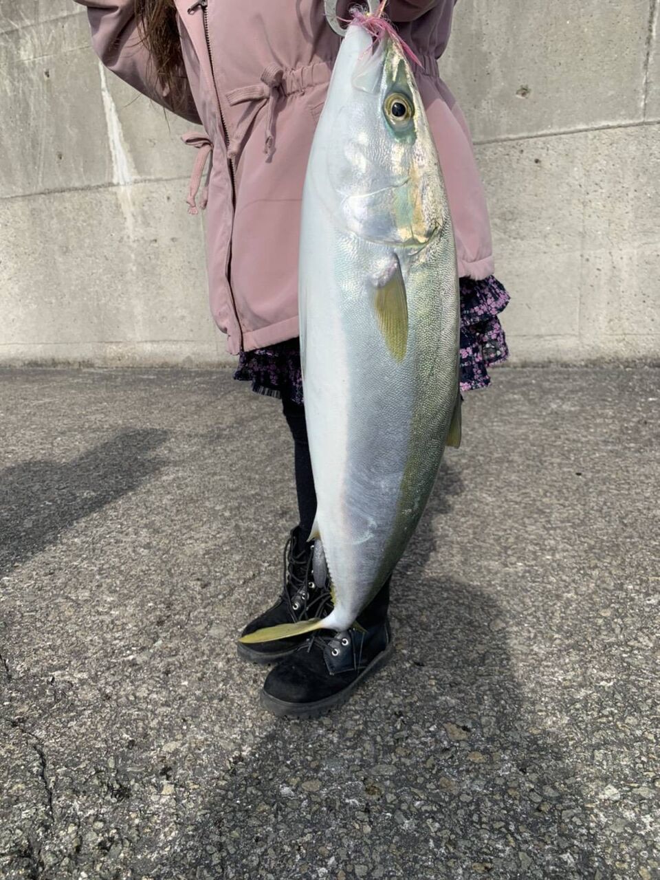 中島埠頭釣果 姫路a R F クロパグ親父の釣りだけしながら生きていきたい 中島埠頭釣果 姫路a R F クロパグ親父の釣りだけしながら生きていきたい