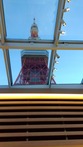 東京タワー (2)