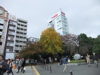 11月30日（日）上野公園入口