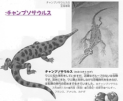 ¥Á¥ã¥ó¥×¥½¥µ¥¦¥ë¥¹ÀâÌÀ ¥Á¥ã¥ó¥×¥½¥µ¥¦¥ë¥¹ÀâÌÀ