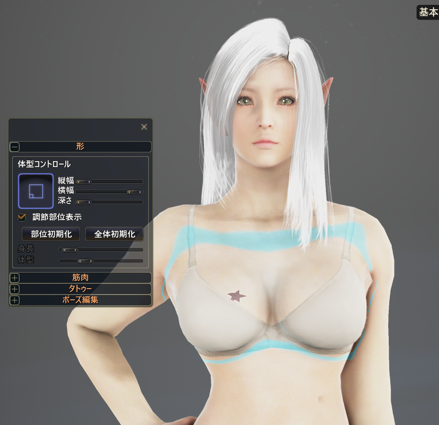 キャラメイクで綺麗な谷間をつくる 夫婦で黒い砂漠をやってみた