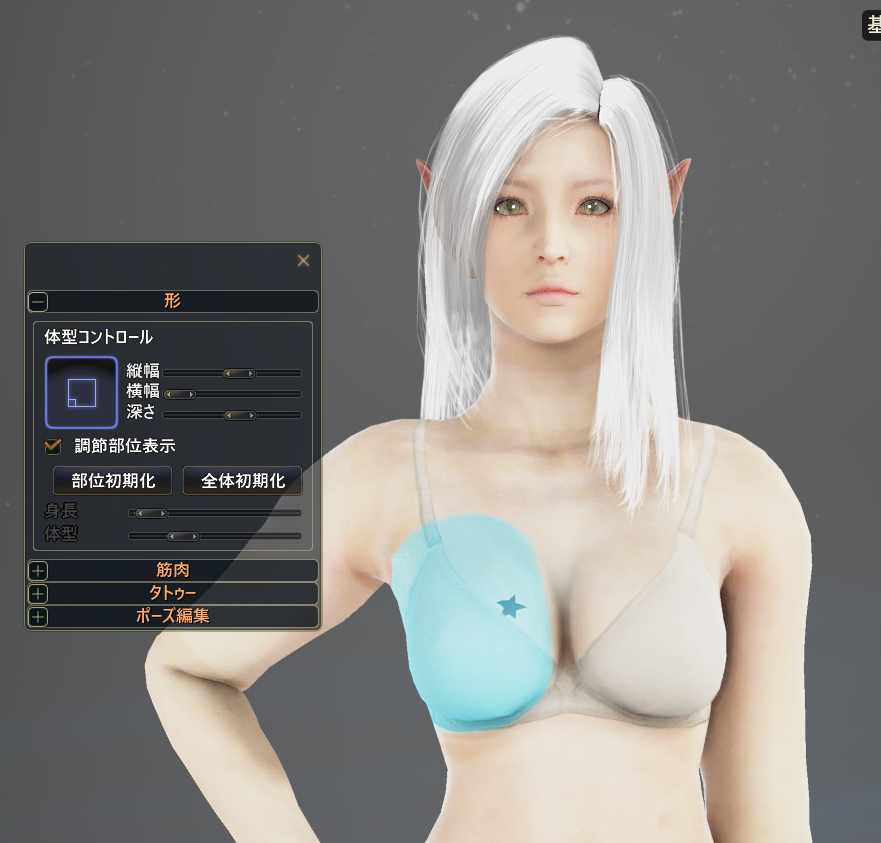 キャラメイクで綺麗な谷間をつくる 夫婦で黒い砂漠をやってみた キャラメイクで綺麗な谷間をつくる 夫婦で黒い砂漠をやってみた