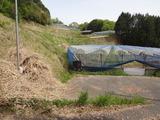 DSC01356