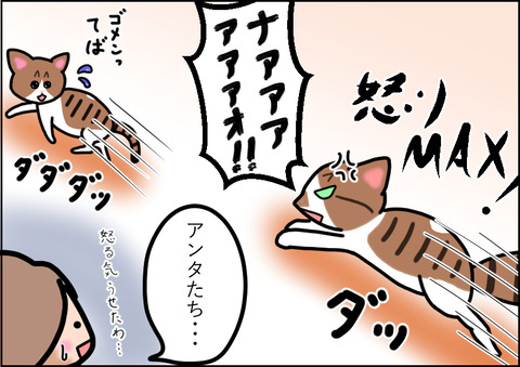 煽る8