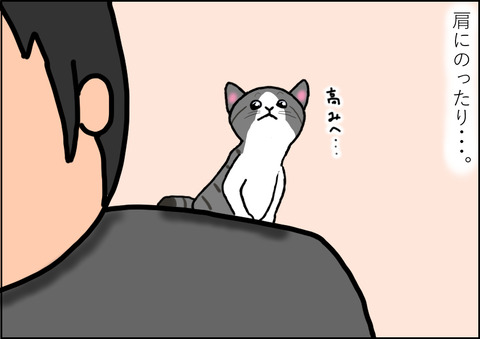 高みへ2