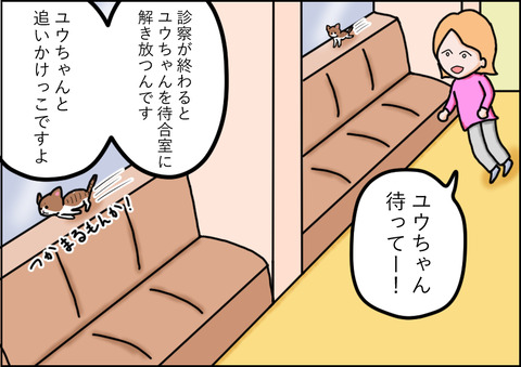 アイドル3