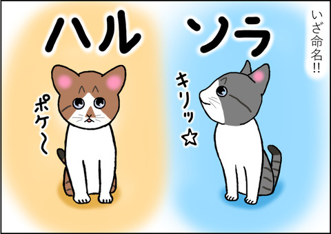 命名4