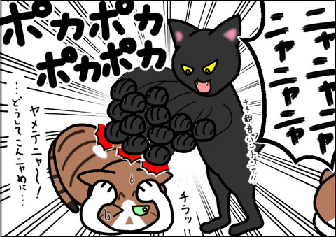 先輩風10