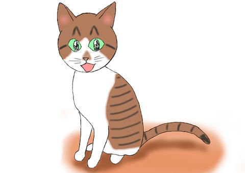 紹介 ハル