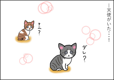 出会い4