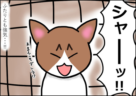 対面4