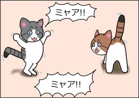 じゃれあい1