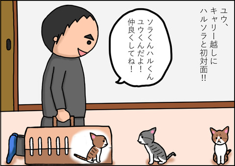 対面1