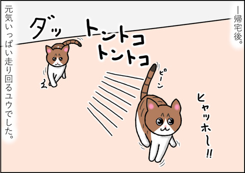 薬4