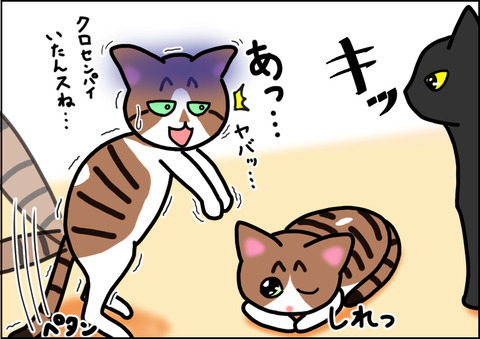 先輩風8