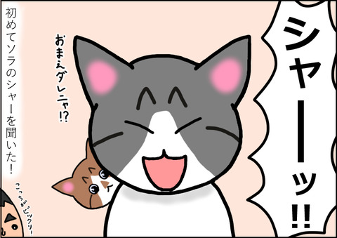 対面2