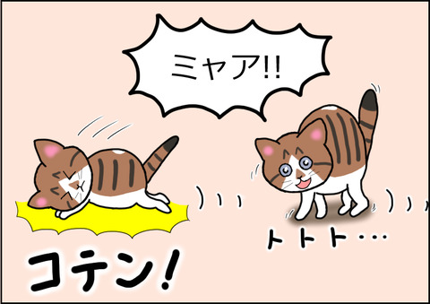 じゃれあい3