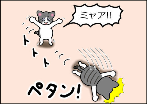 じゃれあい2