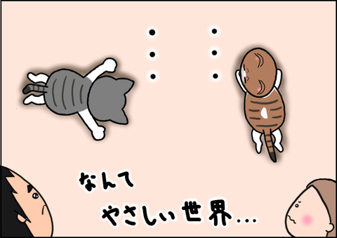 じゃれあい4