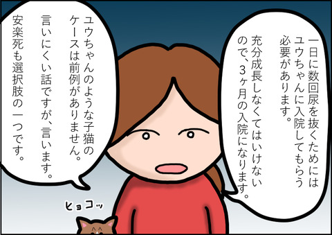 カテーテル2