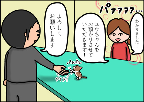 カテーテル4