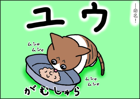 傷4