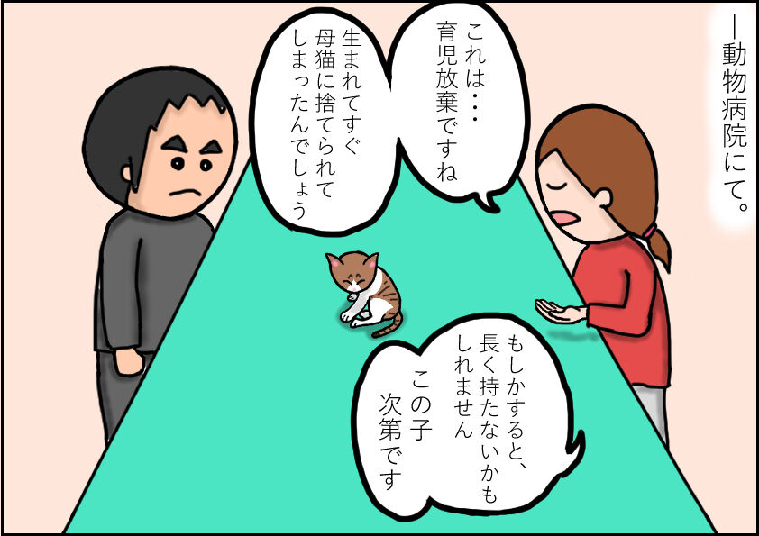 猫漫画 ボロボロの子猫 育児放棄された子猫 クロスケのねこまんが