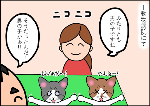 命名3