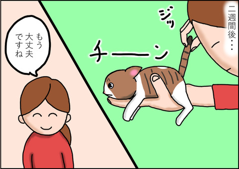 薬3