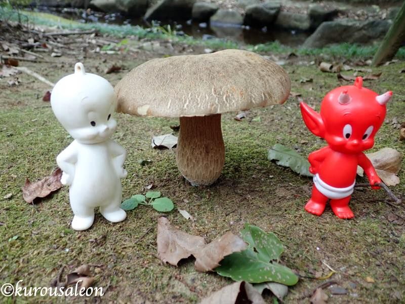 どんぐりキノコ研究所 スタート 黒いうさぎのれおんくん