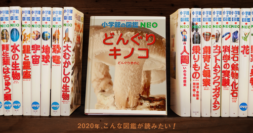 ダウンロード (3)