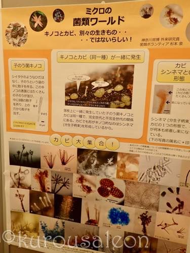 th_PA200036