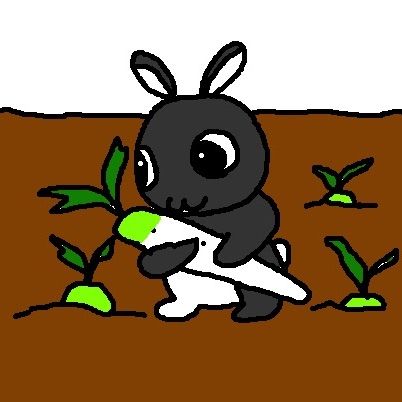 大根