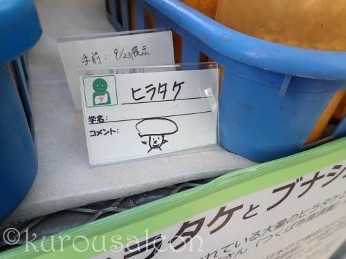 th_P9230212