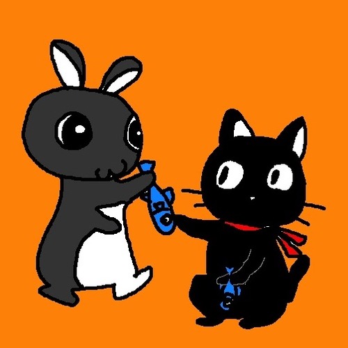 黒猫