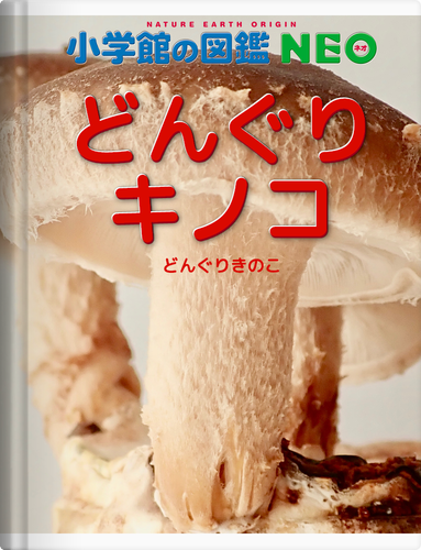 ダウンロード (1)