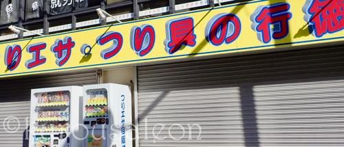 th_P5180001
