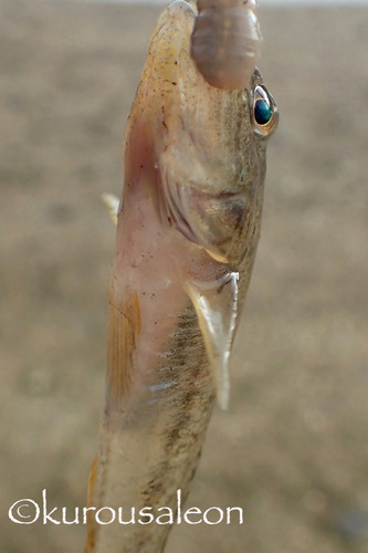 P7270071