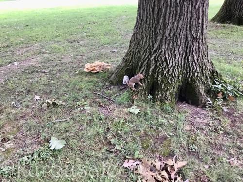 th_IMG_1332