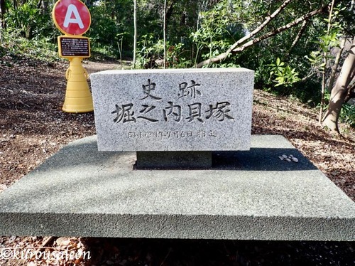 th_P2030044