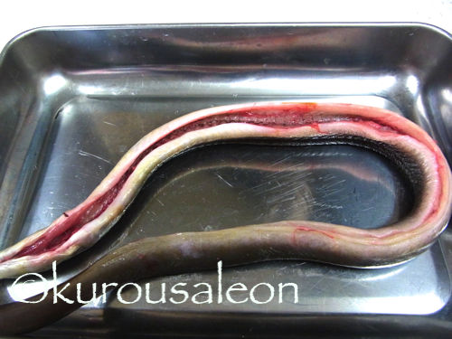 RIMG0030 copy copy copy copy copy