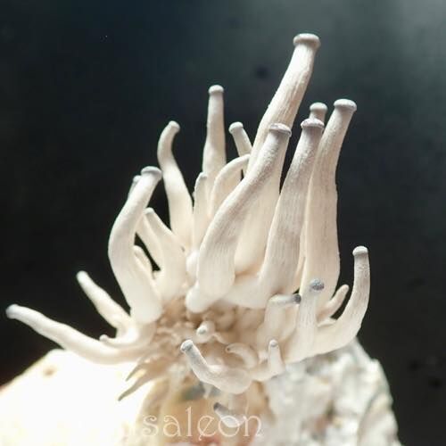 th_PC030021