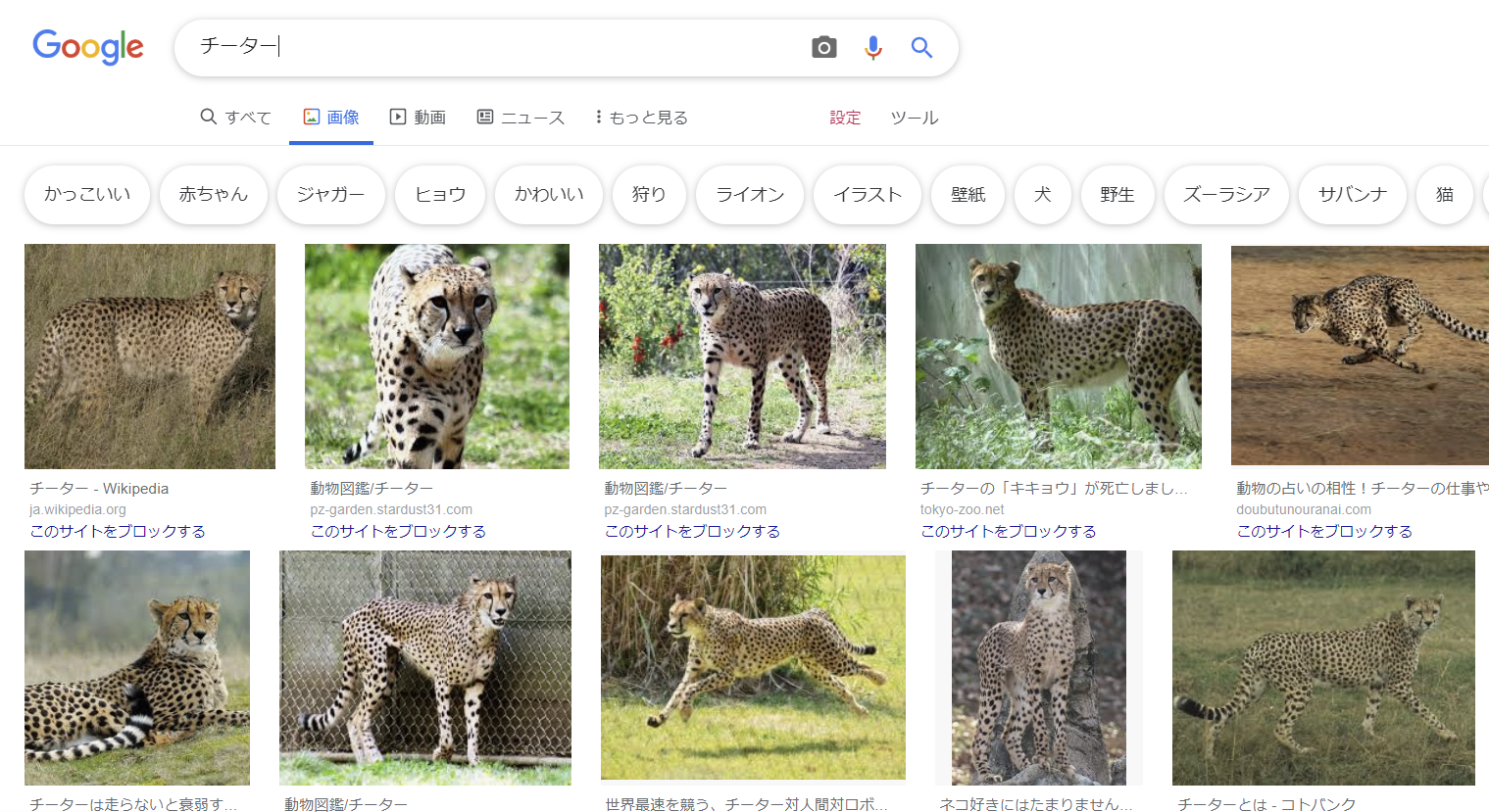 Pcは据え置きゲーム機の上位互換なのに それぞれ市場になってるポイント 黒詩 紅月の奇行記録場 仮 台湾ゲーマーと日本コンテンツ Pcは据え置きゲーム機の上位互換なのに それぞれ市場になってるポイント 黒詩 紅月の奇行記録場 仮 台湾ゲーマーと日本コンテンツ