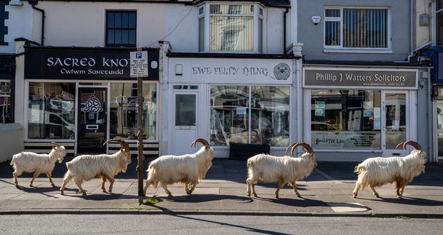 no title