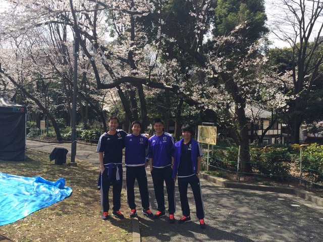 ◆代表小ネタ◆本日の散歩隊は桜の木の下で