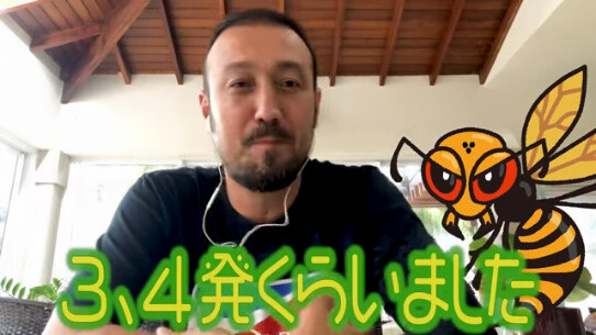 ◆悲報◆南野タキに駄目だししてた闘莉王さん、スズメバチに3・4発食らう