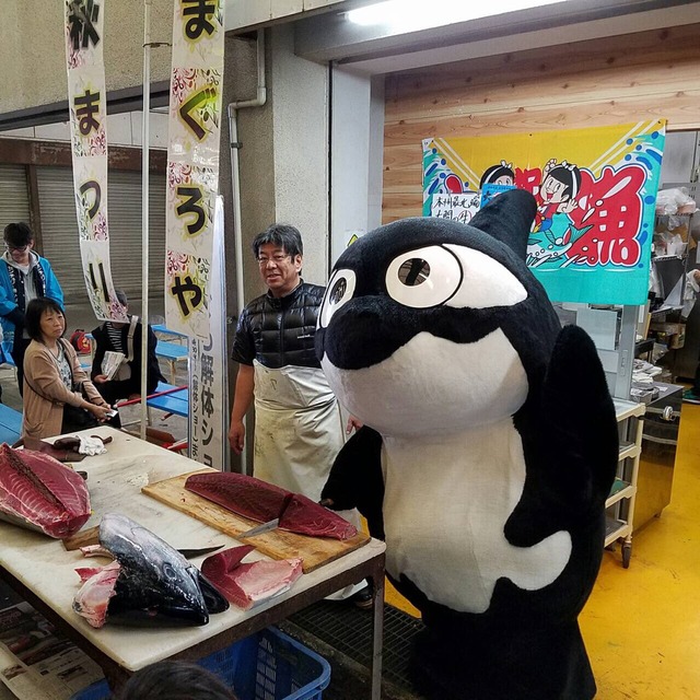 ◆画像◆今まさに解体されつつあるグランパスのマスコット師匠がマグロの解体ショーやっててワロタｗｗｗ